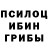 Галлюциногенные грибы прущие грибы DERA BRAG