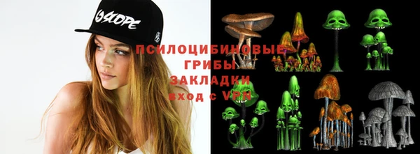 молекула духа Арсеньев
