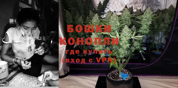 эйфоретик Богданович