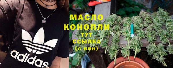 эйфоретик Богданович