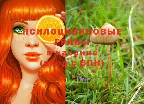 MESCALINE Армянск