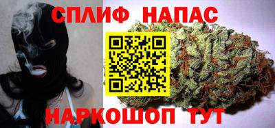 МДПВ Можга
