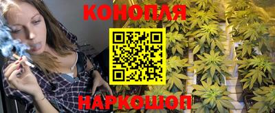 МДПВ Можга